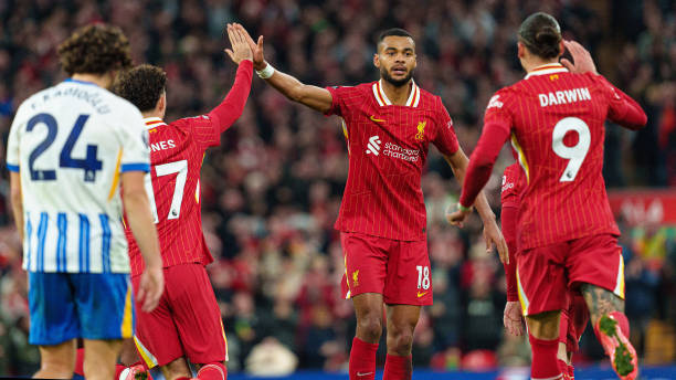 许是队医谨 许是队医谨